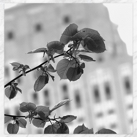 Empire State in B&W Canvas 20  x 20  from ArtsNow.com 19 x19.27  Canvas - 1