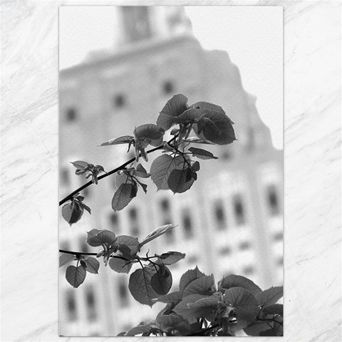 Empire State in B&W Canvas 20  x 30  from ArtsNow.com 19.62 x28.9  Canvas - 1