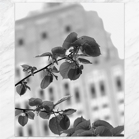 Empire State in B&W Canvas 11  x 14  from ArtsNow.com 10.95 x13.48  Canvas - 1