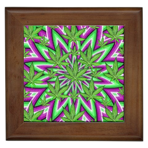 Purple Green White Marijuana Leaves CBDOilPrincess 726130cb Front