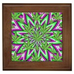 Purple Green White Marijuana Leaves CBDOilPrincess 726130cb-4fcc-4da8-acfb-52b94836ba03 Framed Tile