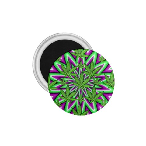 Purple Green White Marijuana Leaves CBDOilPrincess 726130cb Front