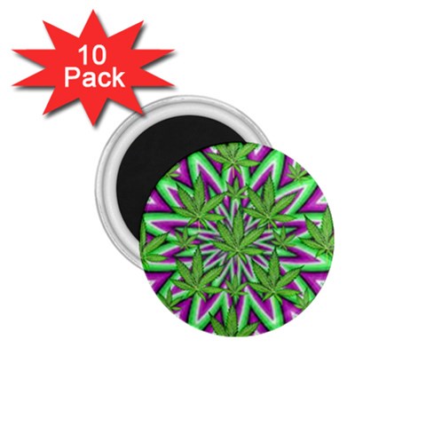 Purple Green White Marijuana Leaves CBDOilPrincess 726130cb Front