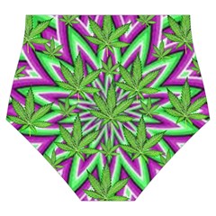 Purple Green White Marijuana Leaves CBDOilPrincess 726130cb Bottom Back