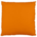 Apricot Orange Large Flano Cushion Case (One Side)