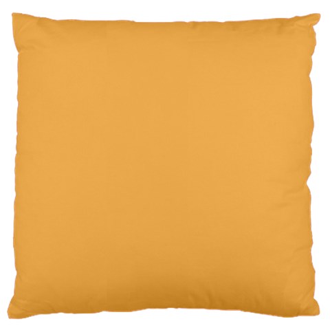 Bees Wax Orange Standard Flano Cushion Case (One Side) from ArtsNow.com Front