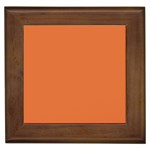 Coral Rose Framed Tile