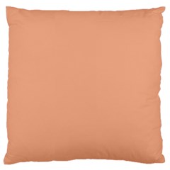 Coral Sands Standard Flano Cushion Case (Two Sides) from ArtsNow.com Front