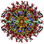 Sight Six Wooden Puzzle Round