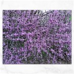 T4 Rectangular Jigsaw Puzzl