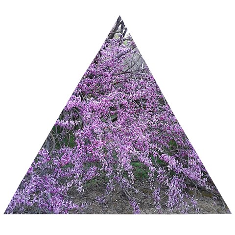 T4 Wooden Puzzle Triangle from ArtsNow.com Front