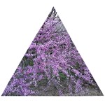 T4 Wooden Puzzle Triangle