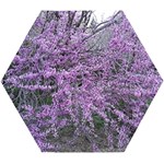 T4 Wooden Puzzle Hexagon