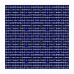 Holoplaid Medium Glasses Cloth (2 Sides)
