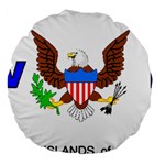 E8cftciweaqngbg Large 18  Premium Flano Round Cushions