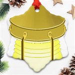 E8kogkcwqam3rmd Ornament (Snowflake)