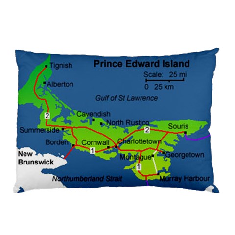 PEI 26.62 x18.9  Pillow Case