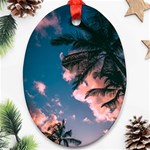 Pexels-photo-2486168 Ornament (Oval)