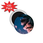 Pexels-photo-2486168 1.75  Magnets (100 pack) 