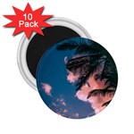 Pexels-photo-2486168 2.25  Magnets (10 pack) 