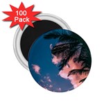 Pexels-photo-2486168 2.25  Magnets (100 pack) 