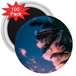 Pexels-photo-2486168 3  Magnets (100 pack)