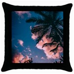 Pexels-photo-2486168 Throw Pillow Case (Black)