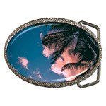 Pexels-photo-2486168 Belt Buckles
