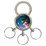 Pexels-photo-2486168 3-Ring Key Chain