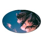 Pexels-photo-2486168 Oval Magnet
