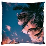 Pexels-photo-2486168 Large Cushion Case (Two Sides)