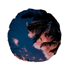 Pexels Back