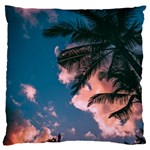 Pexels-photo-2486168 Large Flano Cushion Case (Two Sides)