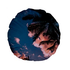 Pexels Back