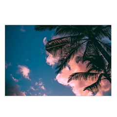 Pexels Loop