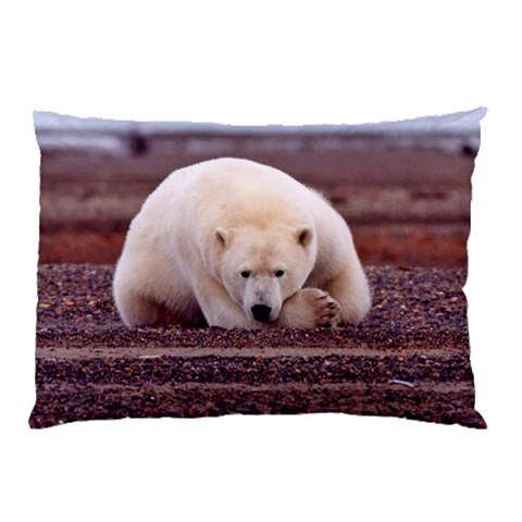 Polar_bear_resting_but_alert_ursus_maritimus Pillow Case (Two Sides) from ArtsNow.com Front