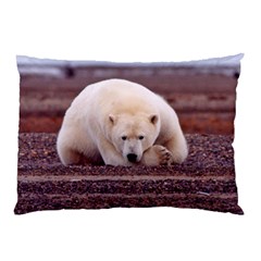 Polar_bear_resting_but_alert_ursus_maritimus Pillow Case (Two Sides) from ArtsNow.com Front