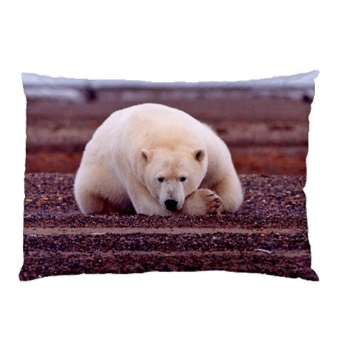 Polar_bear_resting_but_alert_ursus_maritimus Pillow Case (Two Sides) from ArtsNow.com Back