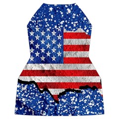 usa Back