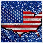Usa-map-and-flag-on-cement-wall-texture-background-design-1591646654pet Canvas 16  x 16 