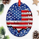 Usa-map-and-flag-on-cement-wall-texture-background-design-1591646654pet Oval Filigree Ornament (Two Sides)
