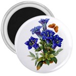 Vintage-blume-kunst-clipart-16307836606qy-removebg-preview 3  Magnets