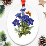 Vintage-blume-kunst-clipart-16307836606qy-removebg-preview Ornament (Oval)