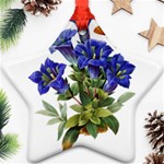 Vintage-blume-kunst-clipart-16307836606qy-removebg-preview Ornament (Star)