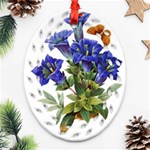 Vintage-blume-kunst-clipart-16307836606qy-removebg-preview Ornament (Oval Filigree)