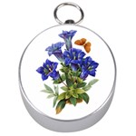Vintage-blume-kunst-clipart-16307836606qy-removebg-preview Silver Compasses