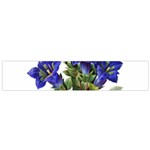 Vintage-blume-kunst-clipart-16307836606qy-removebg-preview Small Flano Scarf