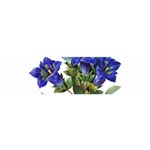 Vintage-blume-kunst-clipart-16307836606qy-removebg-preview Satin Scarf (Oblong)