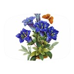 Vintage-blume-kunst-clipart-16307836606qy-removebg-preview Mini Square Pill Box