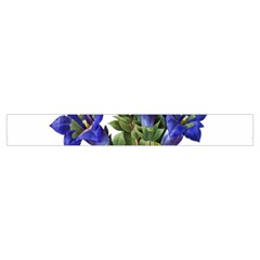 Vintage Zipper Tape Front